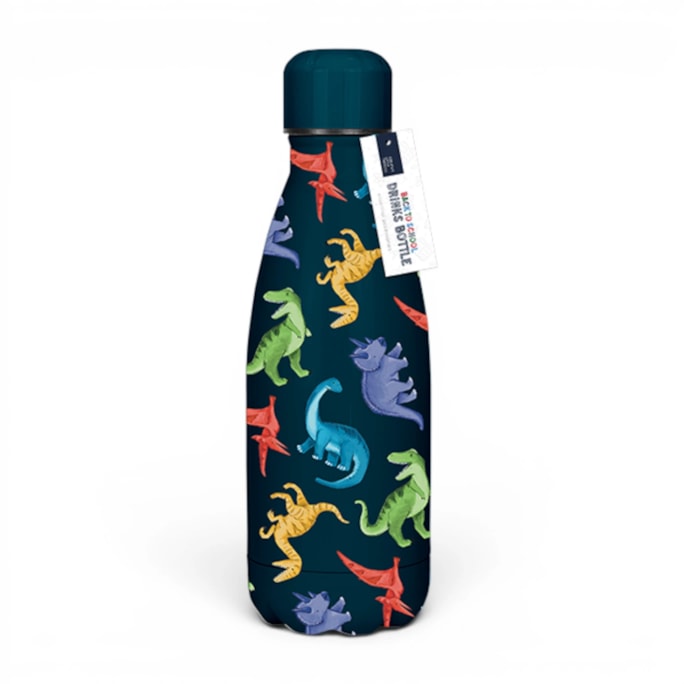 Wholesale Boys Printed Metal Water Bottle 350ml | Wholesale Direct