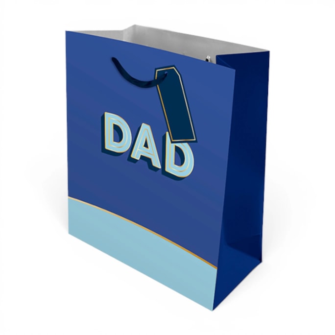 Wholesale Father's Day Large Gift Bag | Wholesale Direct