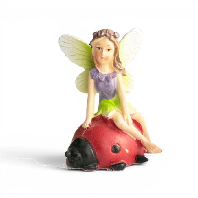 Wholesale Fairy On Tortoise Snail and Ladybird CDU | Wholesale Direct