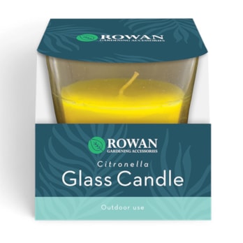 Wholesale Citronella Candle In Glass Cup | Wholesale Direct