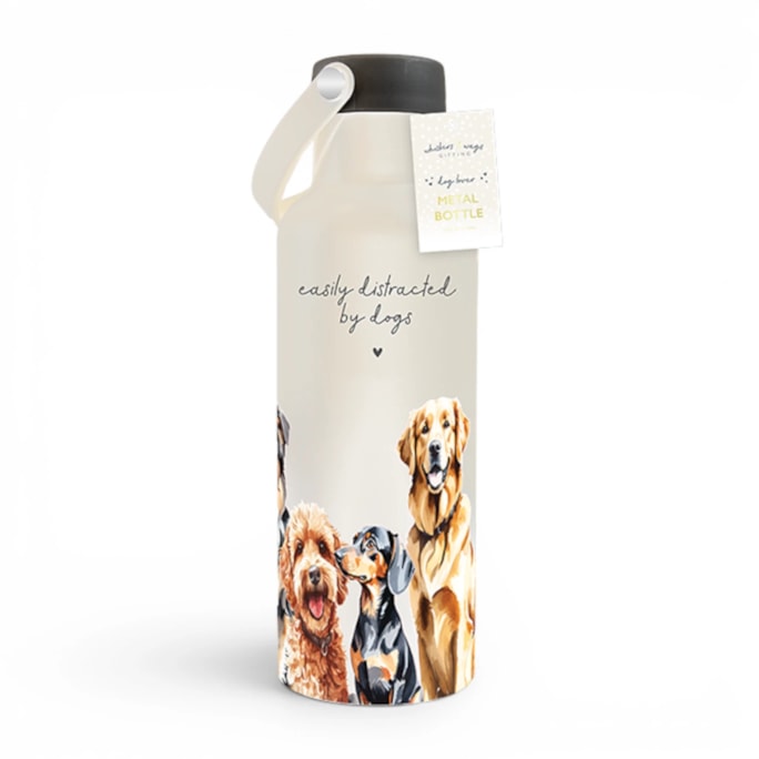 Wholesale Metal Bottle with Handle 500ml | Wholesale Direct