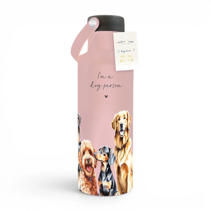 Wholesale Metal Bottle with Handle 500ml | Wholesale Direct