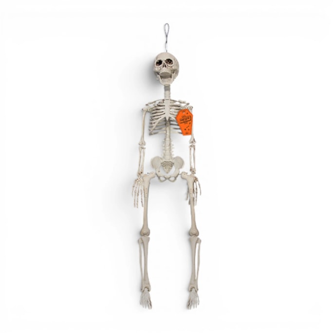 Wholesale Halloween Hanging Skeleton Decoration 76cm | Wholesale Direct