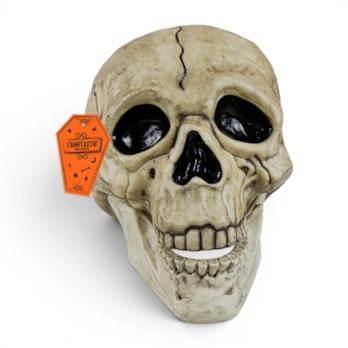 Wholesale Halloween Skull Decoration with Black Line Detail | Wholesale Direct
