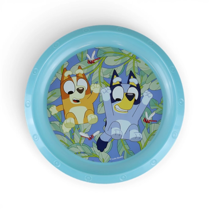 Wholesale LICENSED PLATE ASSTD | Wholesale Direct