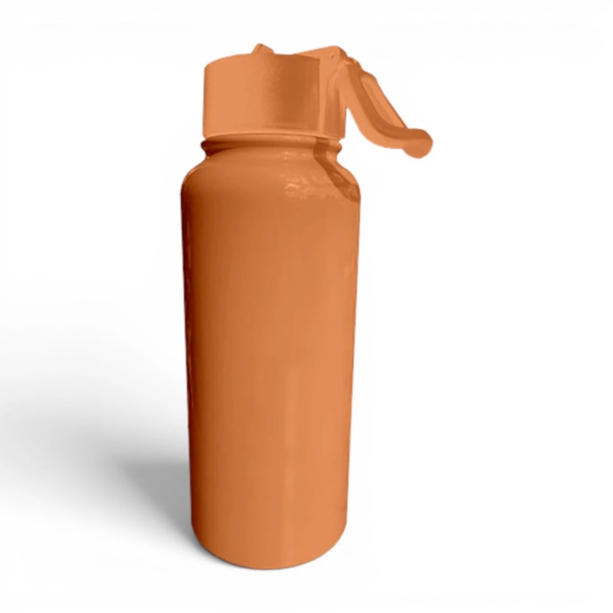 Wholesale Brights Double Walled Bottle 1000ml | Wholesale Direct