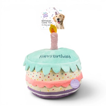 Wholesale Birthday Cake Pet Toy | Wholesale Direct Wholesale Birthday Cake Pet Toy | Wholesale Direct