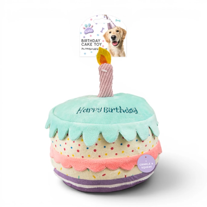Wholesale Birthday Cake Pet Toy | Wholesale Direct Wholesale Birthday Cake Pet Toy | Wholesale Direct