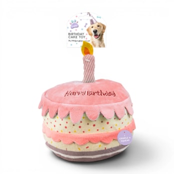 Wholesale Birthday Cake Pet Toy | Wholesale Direct Wholesale Birthday Cake Pet Toy | Wholesale Direct