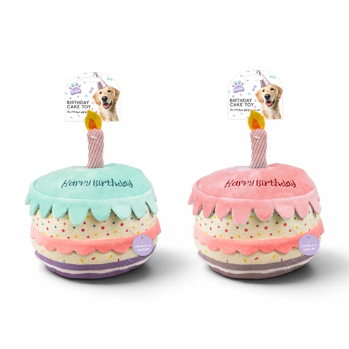 Wholesale Birthday Cake Pet Toy | Wholesale Direct