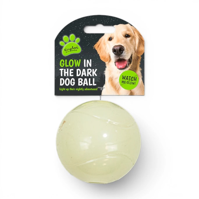 Wholesale Glow Dog Ball | Wholesale Direct