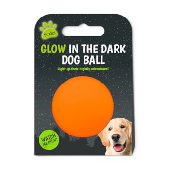 Wholesale Glow In The Dark Dog Ball | Wholesale Direct