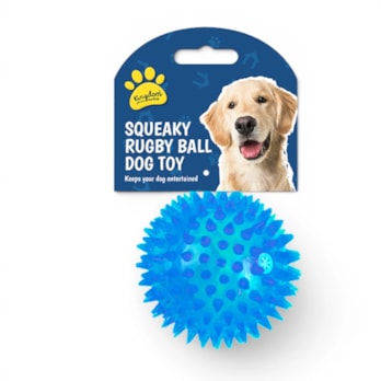 Wholesale Squeaky LED Light Up Ball Dog Toy | Wholesale Direct