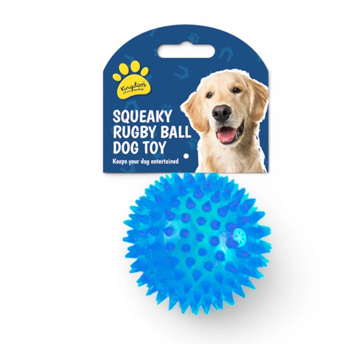 Wholesale Squeaky LED Light Up Ball Dog Toy | Wholesale Direct