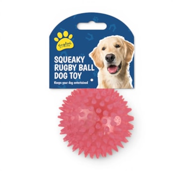 Wholesale Squeaky LED Light Up Ball Dog Toy | Wholesale Direct