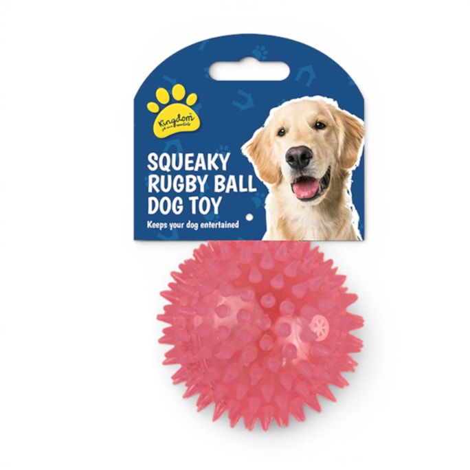 Wholesale Squeaky LED Light Up Ball Dog Toy | Wholesale Direct