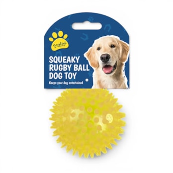 Wholesale Squeaky LED Light Up Ball Dog Toy | Wholesale Direct