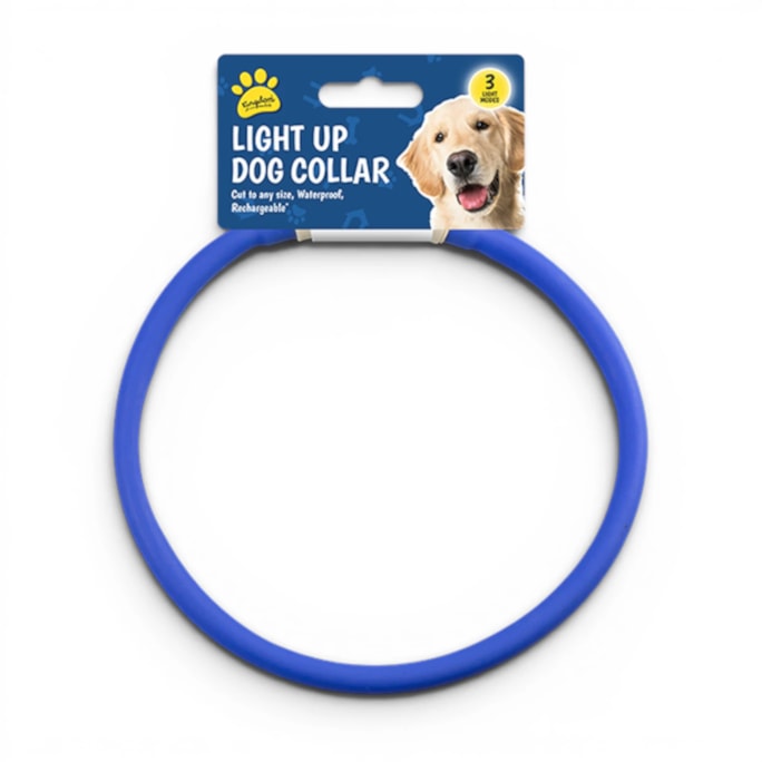 Wholesale Light Up Dog Collar | Wholesale Direct Wholesale Light Up Dog Collar | Wholesale Direct