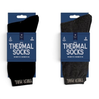 Wholesale Mens Thermal Socks 2pk | Wholesale Direct
