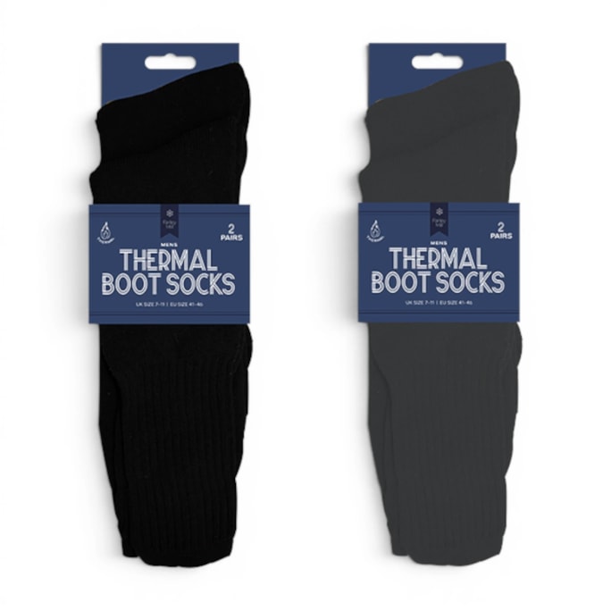 Wholesale Mens Thermal Boot Socks 2 Pairs | Wholesale Direct