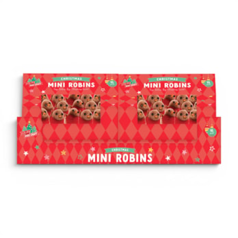 Wholesale Christmas Robins 15pk CDU | Wholesale Direct