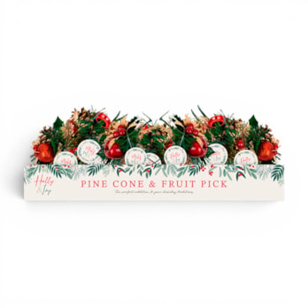 Wholesale Christmas Pine Cone & Fruit Pick CDU | Wholesale Direct