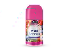Wholesale Scented Air Freshener 250ml CDU