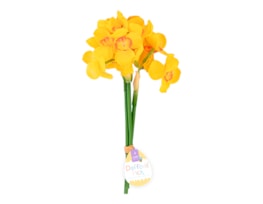 Wholesale Easter Daffodil Pick 26cm CDU Wholesale Easter Daffodil Pick 26cm CDU