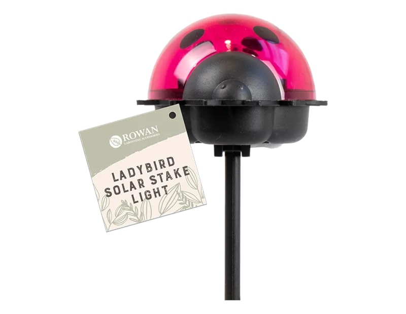 Ladybird Solar Stake Light in CDU