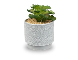 Wholesale Artificial Plant in Dolomite Textured Pot Wholesale Artificial Plant in Dolomite Textured Pot