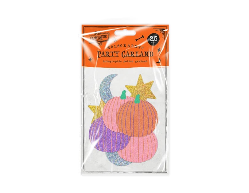 Wholesale Holographic Party Garland 2.5M