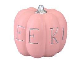 Wholesale Terracotta Pumpkin 13cm x 13cm Wholesale Terracotta Pumpkin 13cm x 13cm