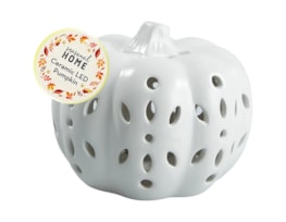 Wholesale Autumnal Medium Ceramic LED Pumpkin CDU