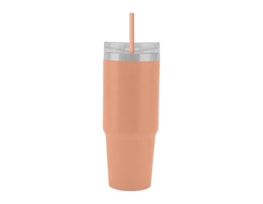 Wholesale Neutrals Tumbler with Straw 650ml