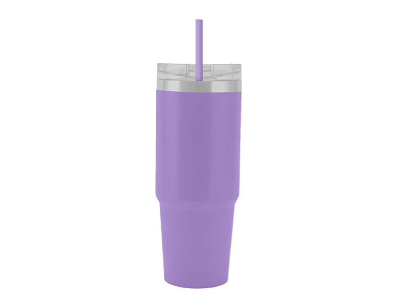 Wholesale Brights Tumbler with Straw 650ml Wholesale Brights Tumbler with Straw 650ml