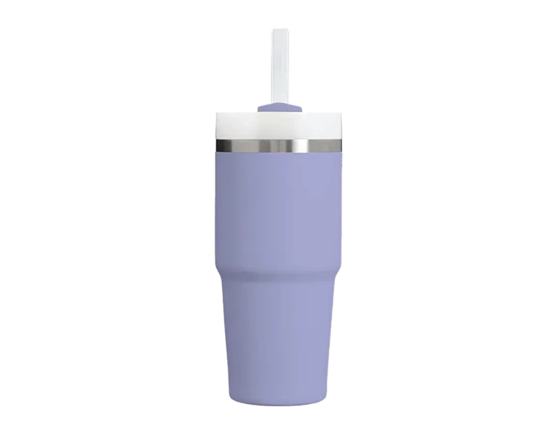 Wholesale Double Walled Cup With Straw 20oz