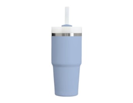 Wholesale Double Walled Cup With Straw 20oz Wholesale Double Walled Cup With Straw 20oz