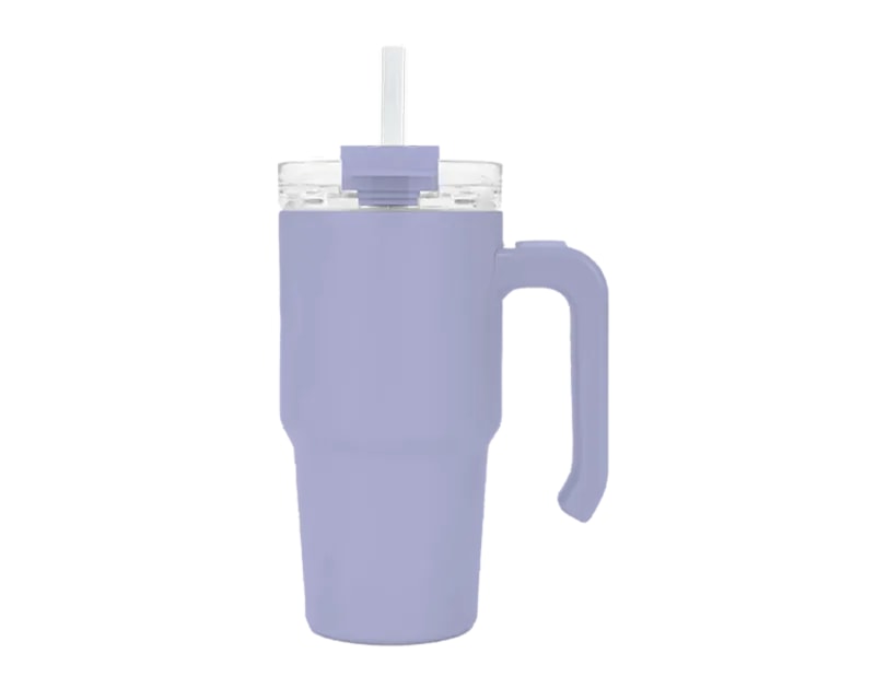 Wholesale Double Walled Cup With Handle And Straw 20oz