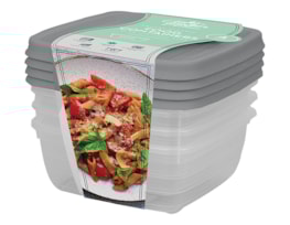 Wholesale Plastic Container 4pk