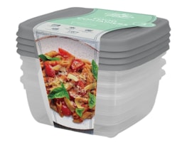 Wholesale Plastic Container 4pk Wholesale Plastic Container 4pk