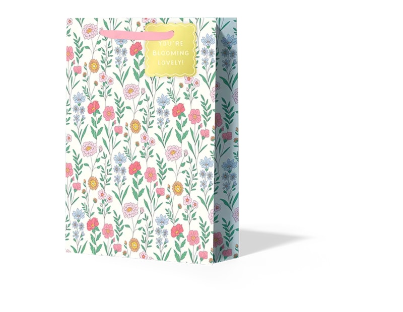 Wholesale Mother's Day Large Gift bag