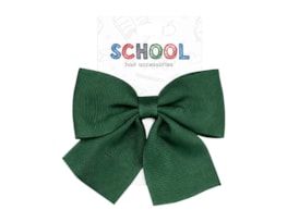 Wholesale Kids School Colours Hair Accessories FSDU