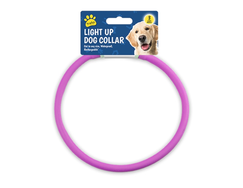 Wholesale Light Up Dog Collar Wholesale Light Up Dog Collar