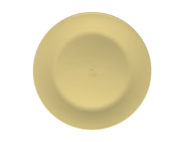 Bright Plastic Dinner Plate Dia 25cm 4pk Bright Plastic Dinner Plate Dia 25cm 4pk