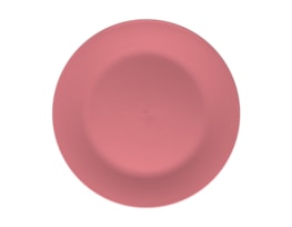 Bright Plastic Dinner Plate Dia 25cm 4pk Bright Plastic Dinner Plate Dia 25cm 4pk