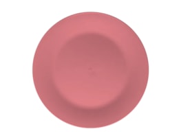 Bright Plastic Dinner Plate Dia 25cm 4pk