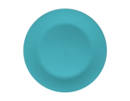Bright Plastic Dinner Plate Dia 25cm 4pk
