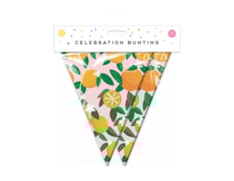 Wholesale Summer Party Fruit Bunting 15 Flags Wholesale Summer Party Fruit Bunting 15 Flags
