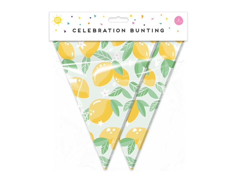 Wholesale Summer Party Fruit Bunting 15 Flags Wholesale Summer Party Fruit Bunting 15 Flags