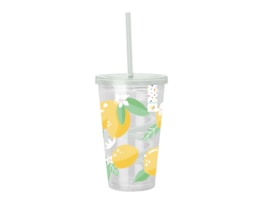 Wholesale Summer Party Fruit Cup & Swirly Straw Wholesale Summer Party Fruit Cup & Swirly Straw